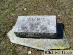 Sally Dean Towne