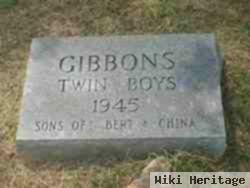 Twin Boys Gibbons