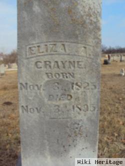 Eliza Ann Neece Crayne