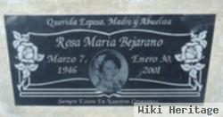 Rosa Maria Bejarano