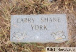 Larry Shane York