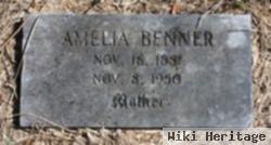 Amelia Benner Hollis