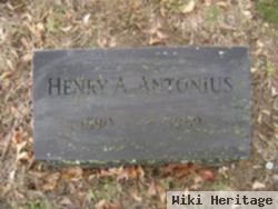 Henry Arnold Antonius