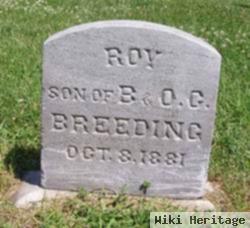 Roy Breeding