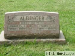 Mary C. Metri Aldinger