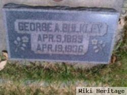 George Albert Bulkley