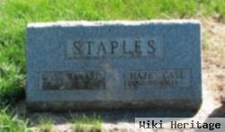 Case Bayard Staples