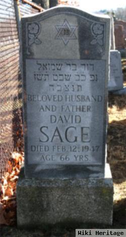 David Sage