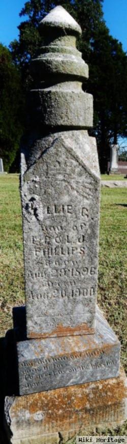 Lillie G. Phillips