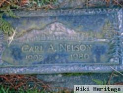 Carl A Nelson