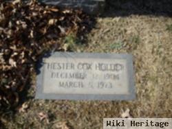 Hester Ann Cox Holder