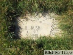 Ray O. Bush