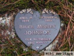 Bruce Mozley Johnson