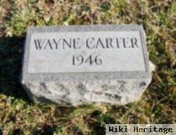 Wayne Carter