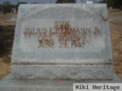 Julius Eugene Hermann