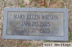 Mary Ellen Wilson