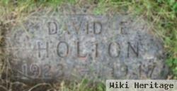 David E. Holton