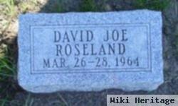 David Joe Roseland