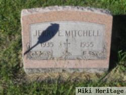 Jerry E. Mitchell