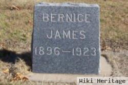 Bernice Fox James