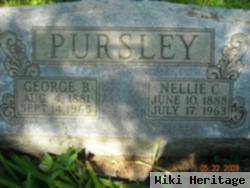 Nellie Catherine Mitchell Pursley