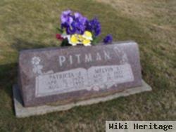 Patricia J. Hayes Pitman