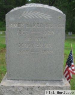 James Elmer Briggs