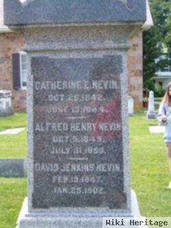 Catherine E Nevin