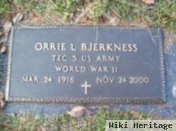 Orrie L Bjerkness