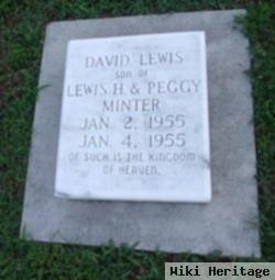 David Lewis Minter