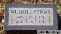 William J. Morgan