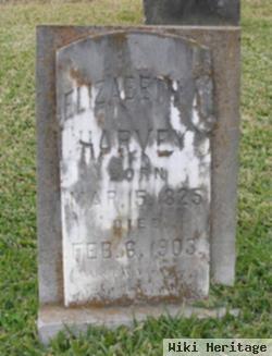 Elizabeth A Harvey