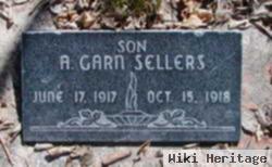 Adelbert Garn Sellers