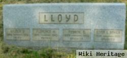 Wilmer D Lloyd