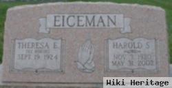 Harold S Eiceman