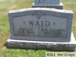 Mary Elizabeth Waid