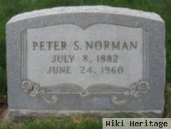 Peter S Norman