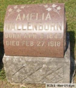 Amelia Wallenborn