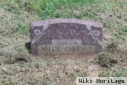 Nellie Lainson Chesnut