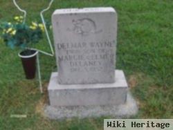 Delmar Wayne Delaney