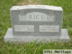 Peter H Rice