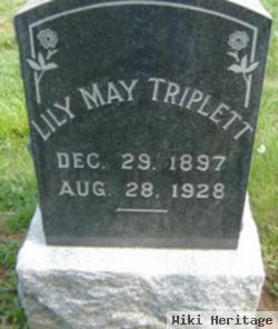 Lily May Triplett