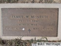 James W. Mcneese