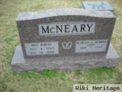 Paul Robert Mcneary