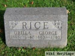 Orilla Rice