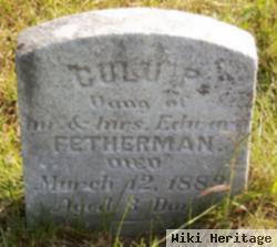 Culu P Fetherman