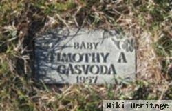 Timothy A Gasvoda