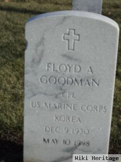 Floyd Alan Goodman