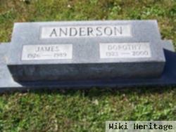 James E Anderson