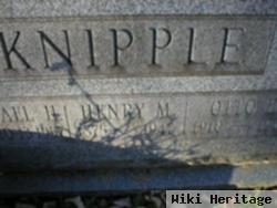 Michael H Knipple